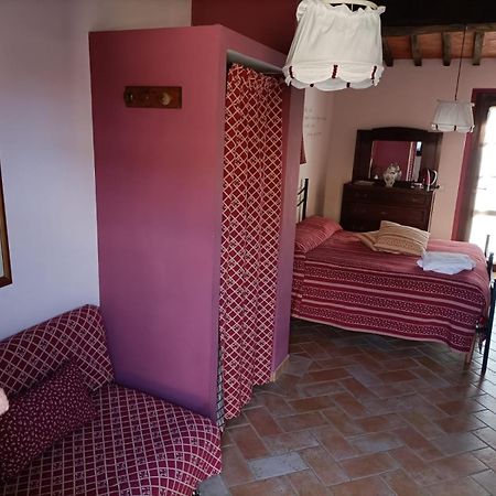 Agriturismo Scannano Serre Di Rapolano Buitenkant foto
